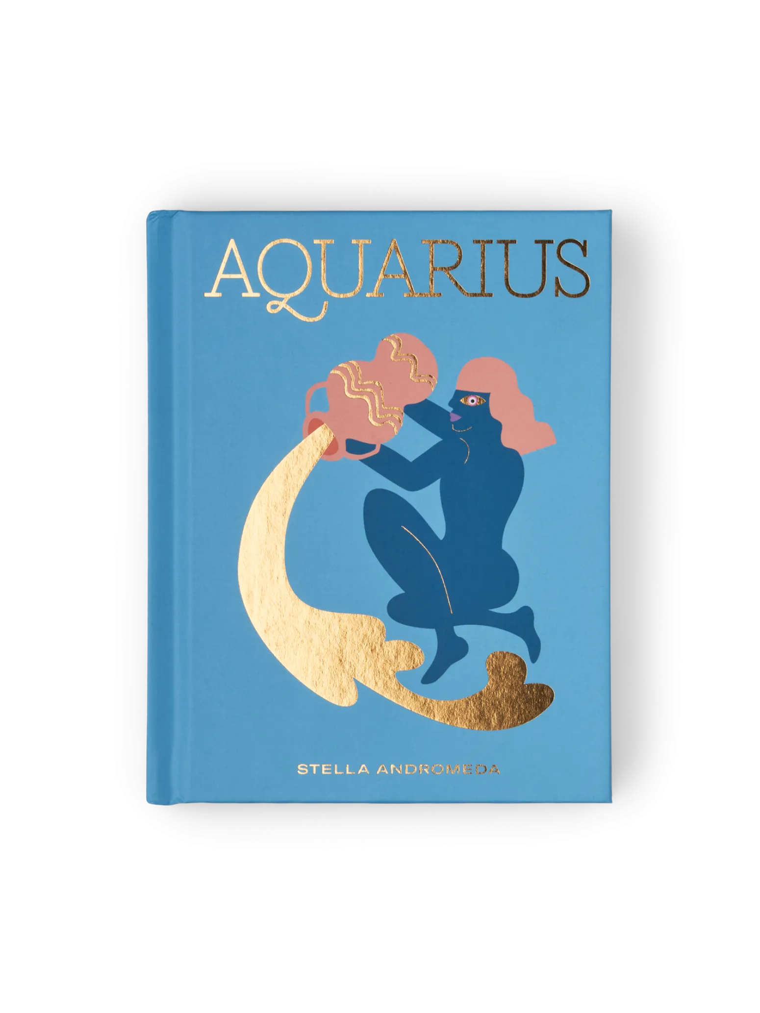 Søstrene Grene Schweiz Coffee Table Books<Aquarius