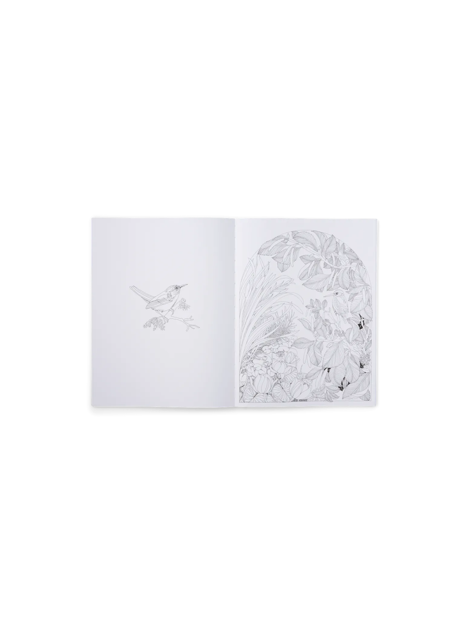 Søstrene Grene Schweiz Coffee Table Books<Beautiful Planet Malbuch