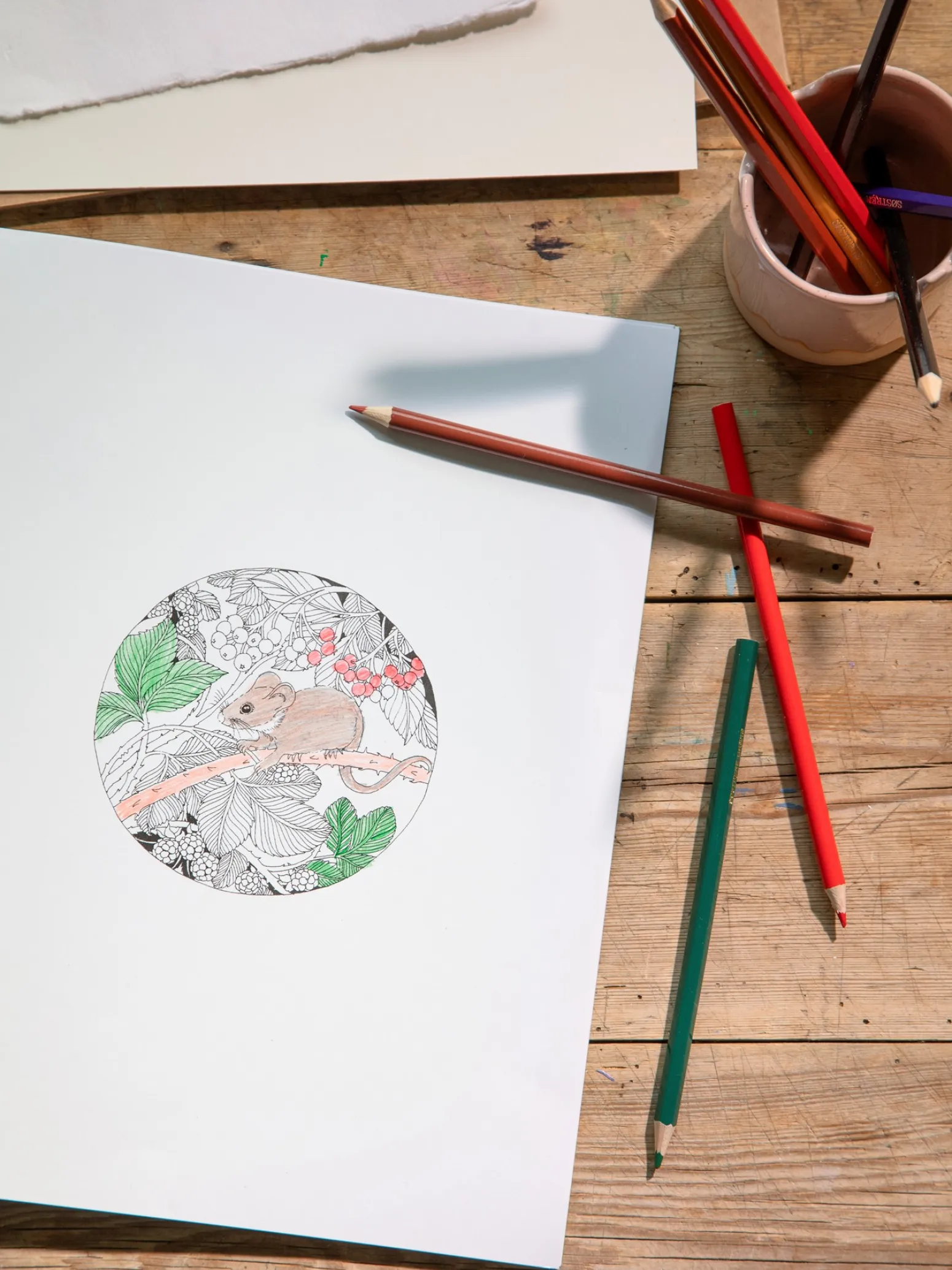 Søstrene Grene Schweiz Coffee Table Books<Beautiful Planet Malbuch
