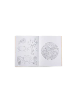 Søstrene Grene Schweiz Coffee Table Books<Beautiful Planet Malbuch