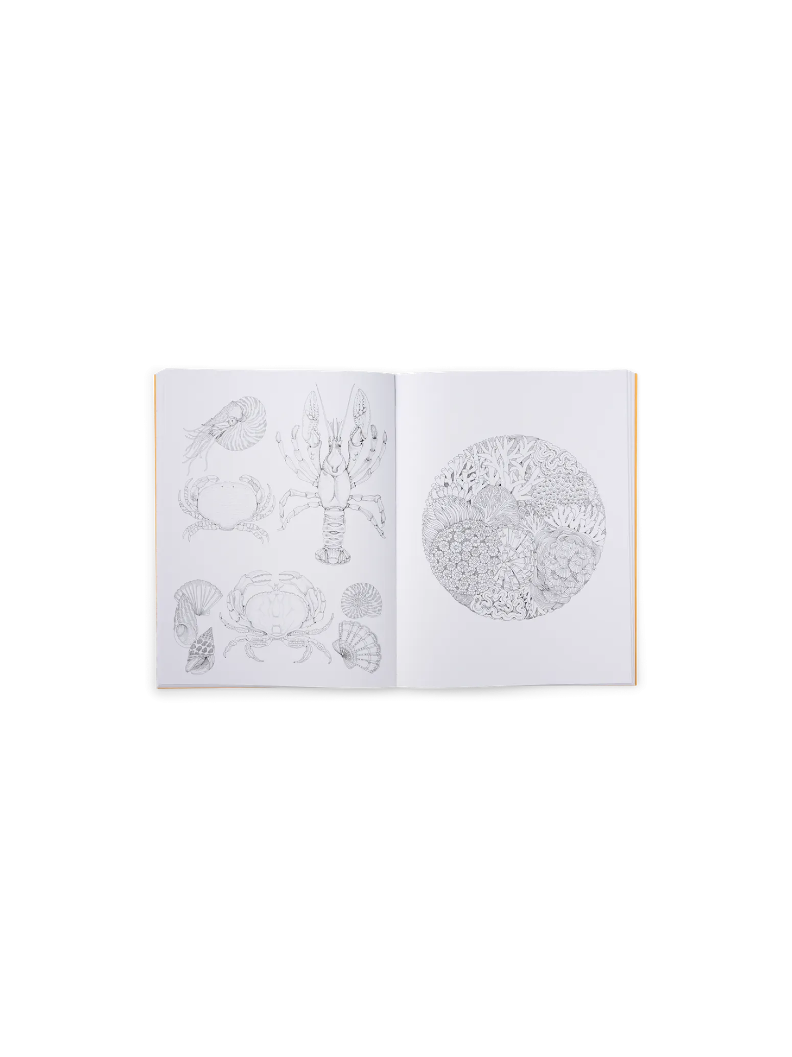 Søstrene Grene Schweiz Coffee Table Books<Beautiful Planet Malbuch