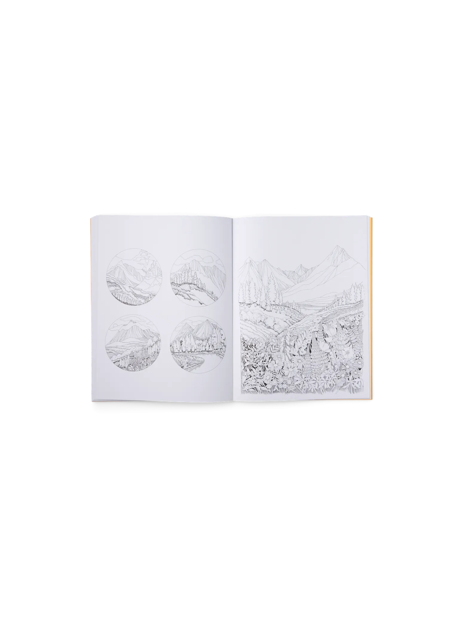 Søstrene Grene Schweiz Coffee Table Books<Beautiful Planet Malbuch