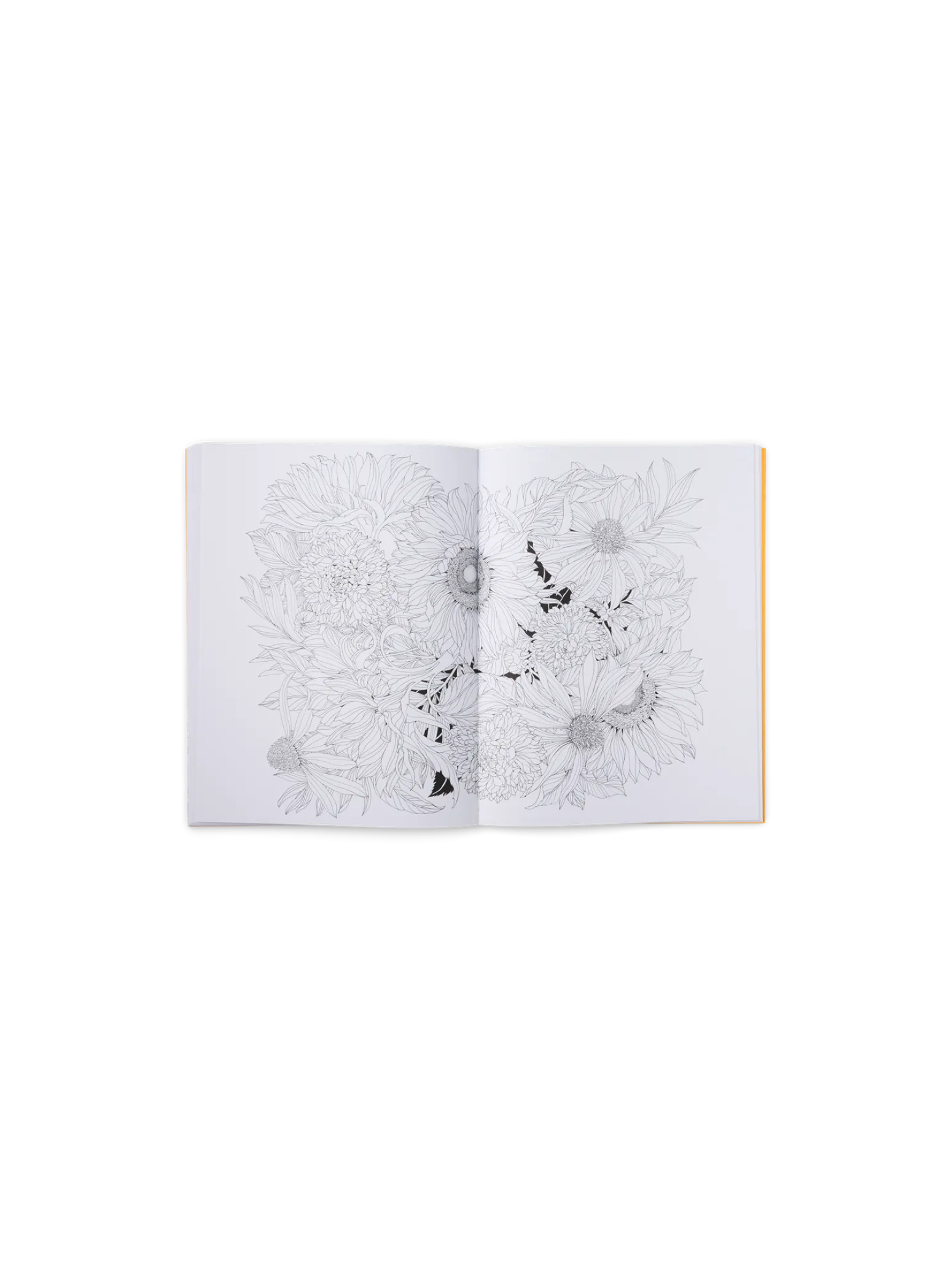 Søstrene Grene Schweiz Coffee Table Books<Beautiful Planet Malbuch