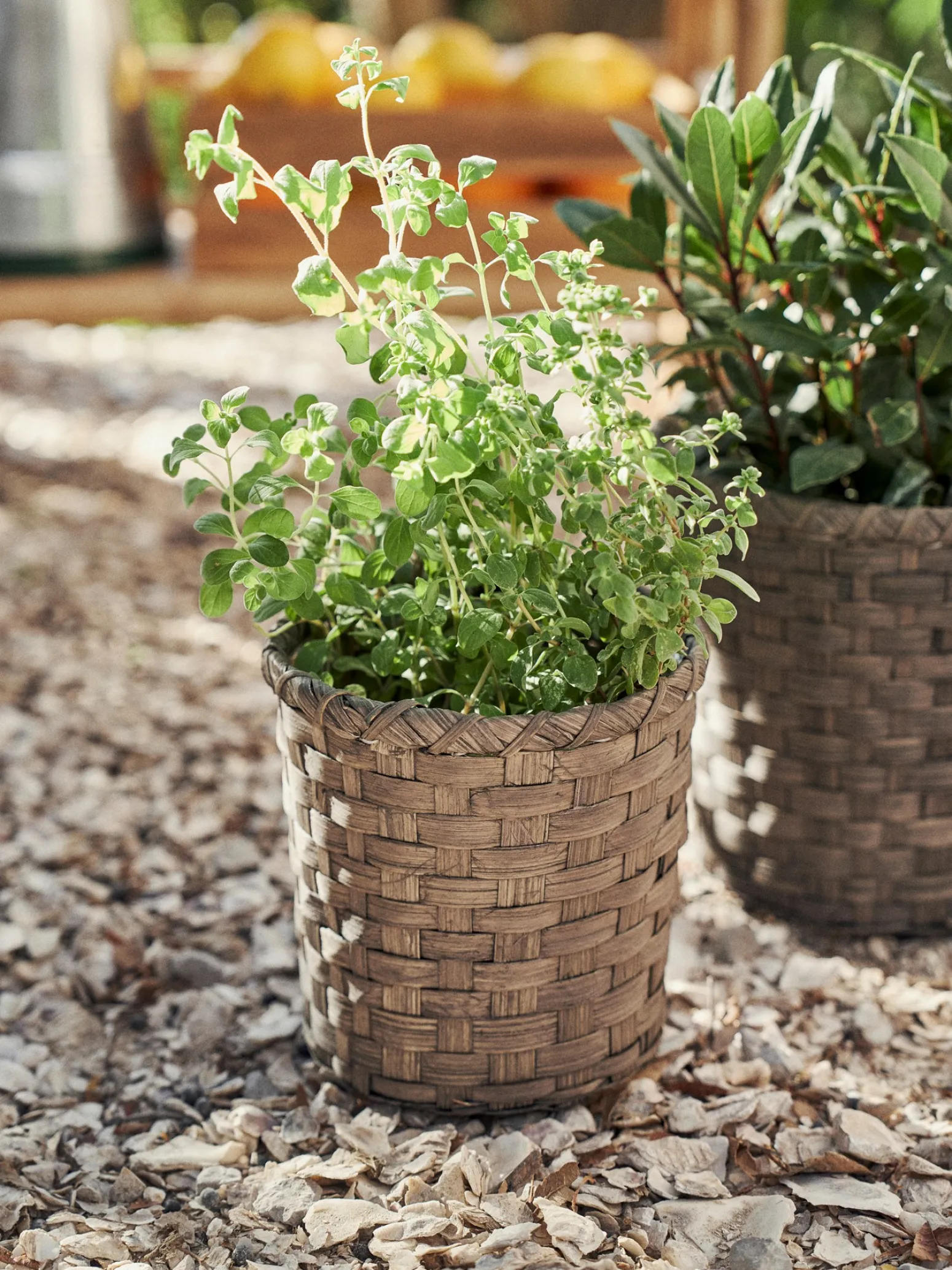 Søstrene Grene Schweiz Vasen Und Blumentöpfe|Garten Und Balkon<Übertopf