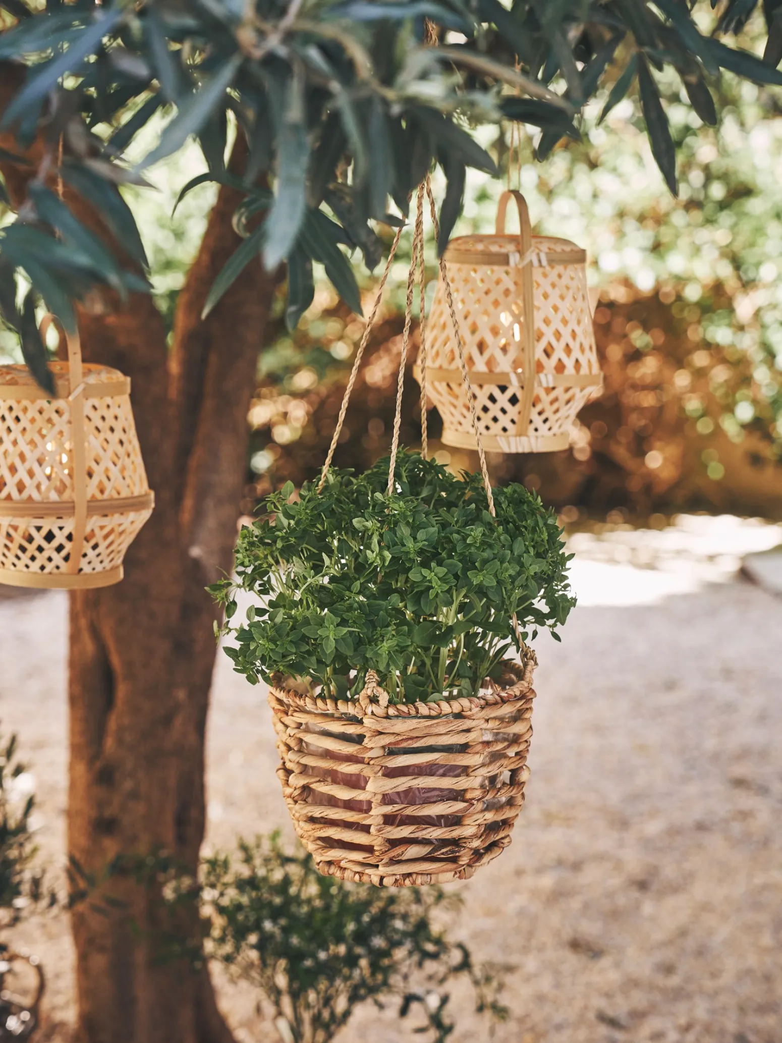 Søstrene Grene Schweiz Vasen Und Blumentöpfe|Garten Und Balkon<Übertopf Zum Aufhängen