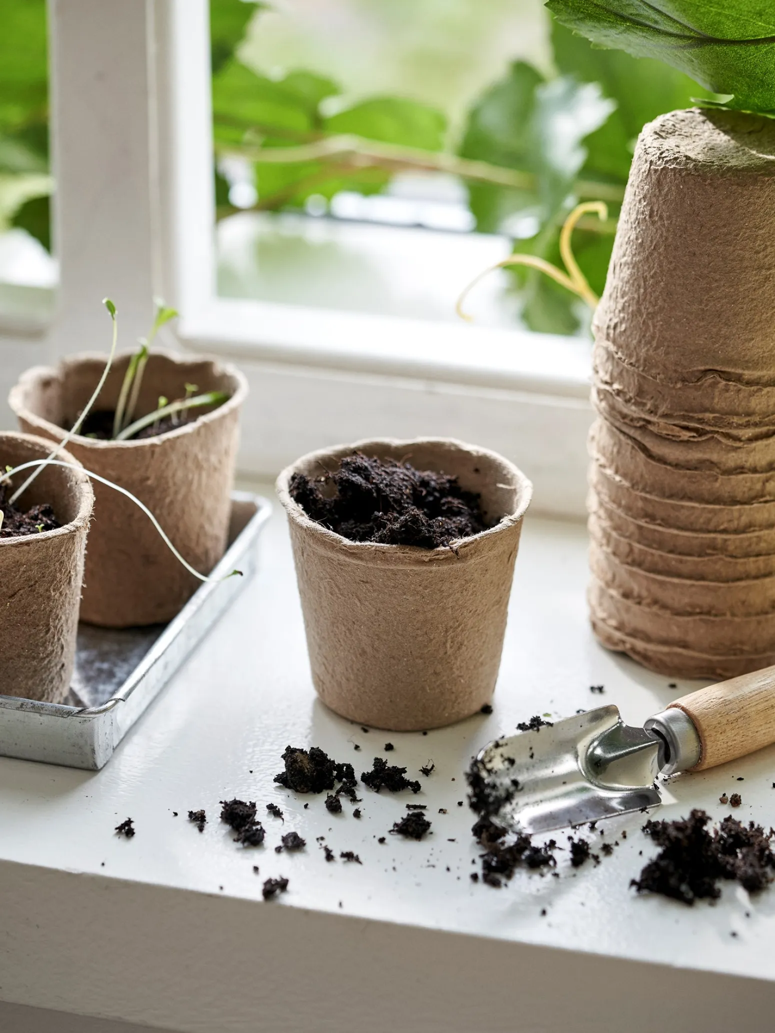 Søstrene Grene Schweiz Vasen Und Blumentöpfe|Garten<Biologisch Abbaubare Anzuchttöpfe