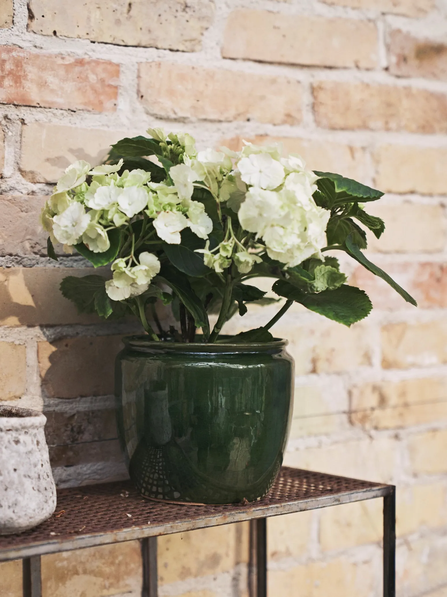 Søstrene Grene Schweiz Vasen Und Blumentöpfe|Garten<Blumentopf