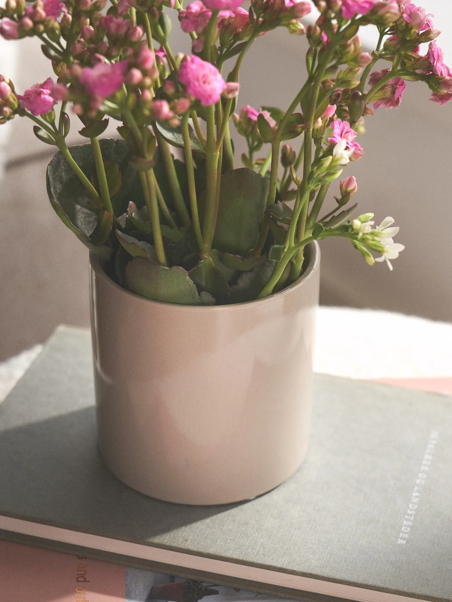 Søstrene Grene Schweiz Vasen Und Blumentöpfe<Blumentopf