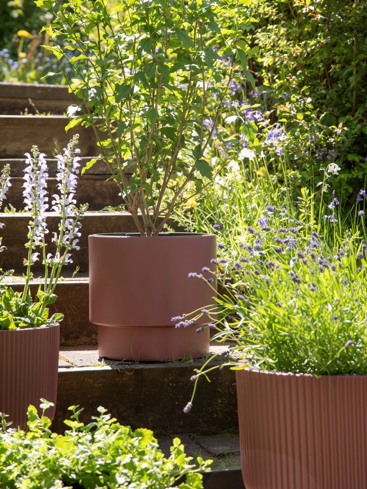 Søstrene Grene Schweiz Vasen Und Blumentöpfe<Blumentopf Heos Ø29,8 Cm