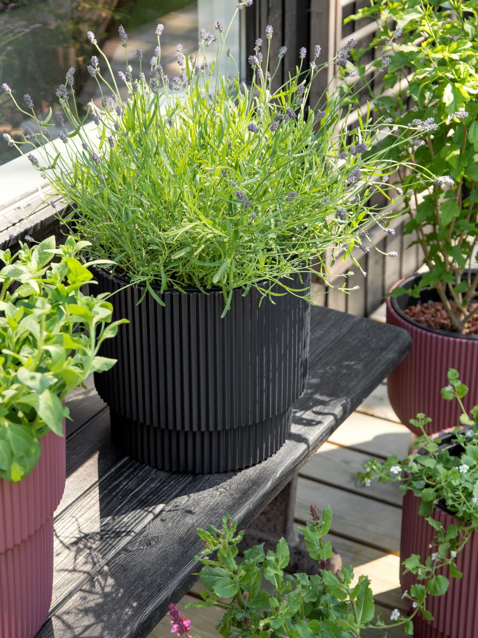 Søstrene Grene Schweiz Vasen Und Blumentöpfe<Blumentopf Milly Ø29,8 Cm
