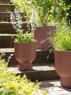 Søstrene Grene Schweiz Vasen Und Blumentöpfe<Blumentopf Milly Ø23,9 Cm