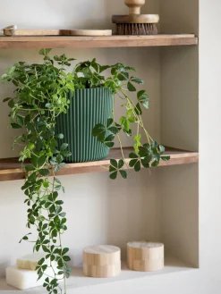 Søstrene Grene Schweiz Vasen Und Blumentöpfe<Blumentopf Milly Ø19,6 Cm
