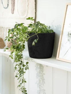 Søstrene Grene Schweiz Vasen Und Blumentöpfe<Blumentopf Milly Ø16,9 Cm