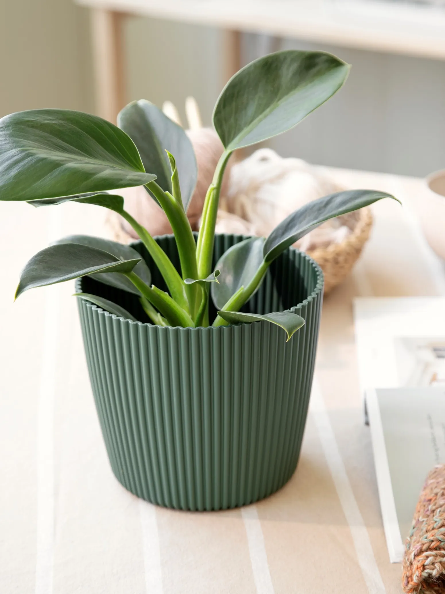 Søstrene Grene Schweiz Vasen Und Blumentöpfe<Blumentopf Milly Ø16,9 Cm