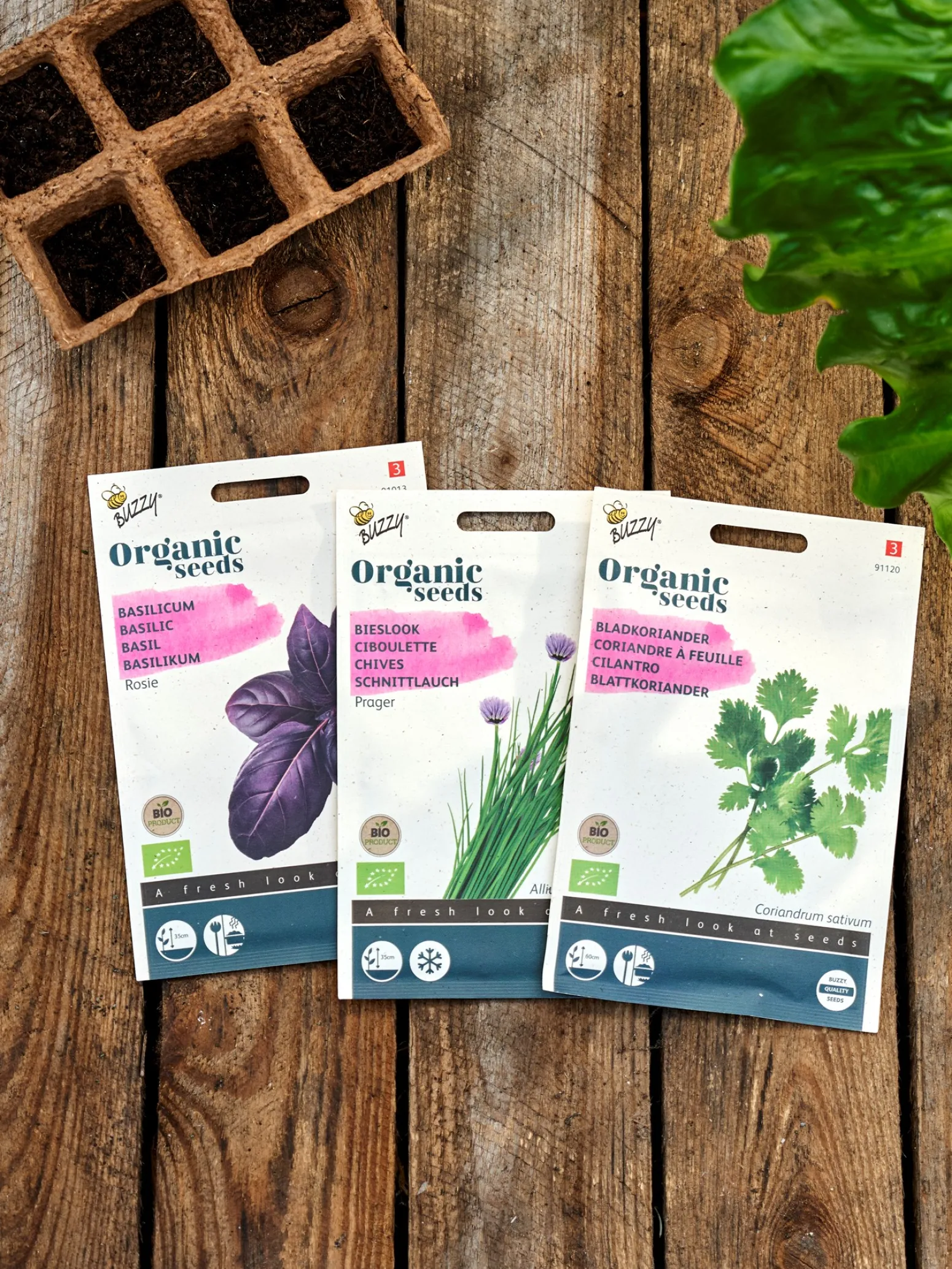 Søstrene Grene Schweiz Garten|Garten Und Balkon<Buzzy® Bio-Basilikum Rosie