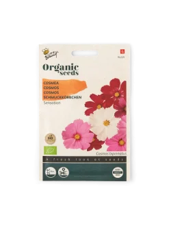 Søstrene Grene Schweiz Garten|Garten Und Balkon<Buzzy® Bio-Kosmeen Sensation