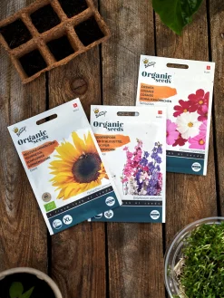 Søstrene Grene Schweiz Garten|Garten Und Balkon<Buzzy® Bio-Kosmeen Sensation