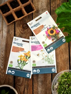 Søstrene Grene Schweiz Garten|Garten Und Balkon<Buzzy® Mexikanische Bio-Samtblume
