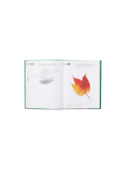 Søstrene Grene Schweiz Coffee Table Books<365 Days Of Creativity