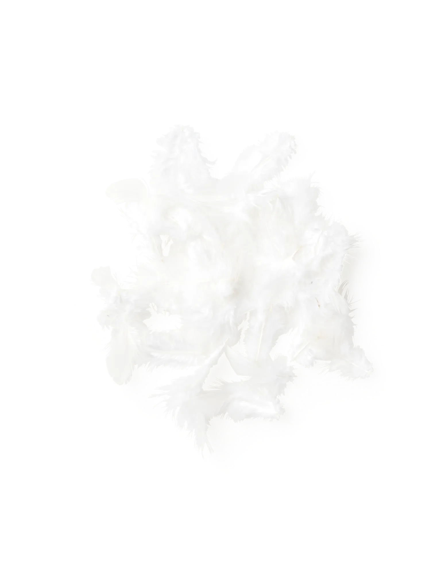 Søstrene Grene Schweiz Dekoration<Federn