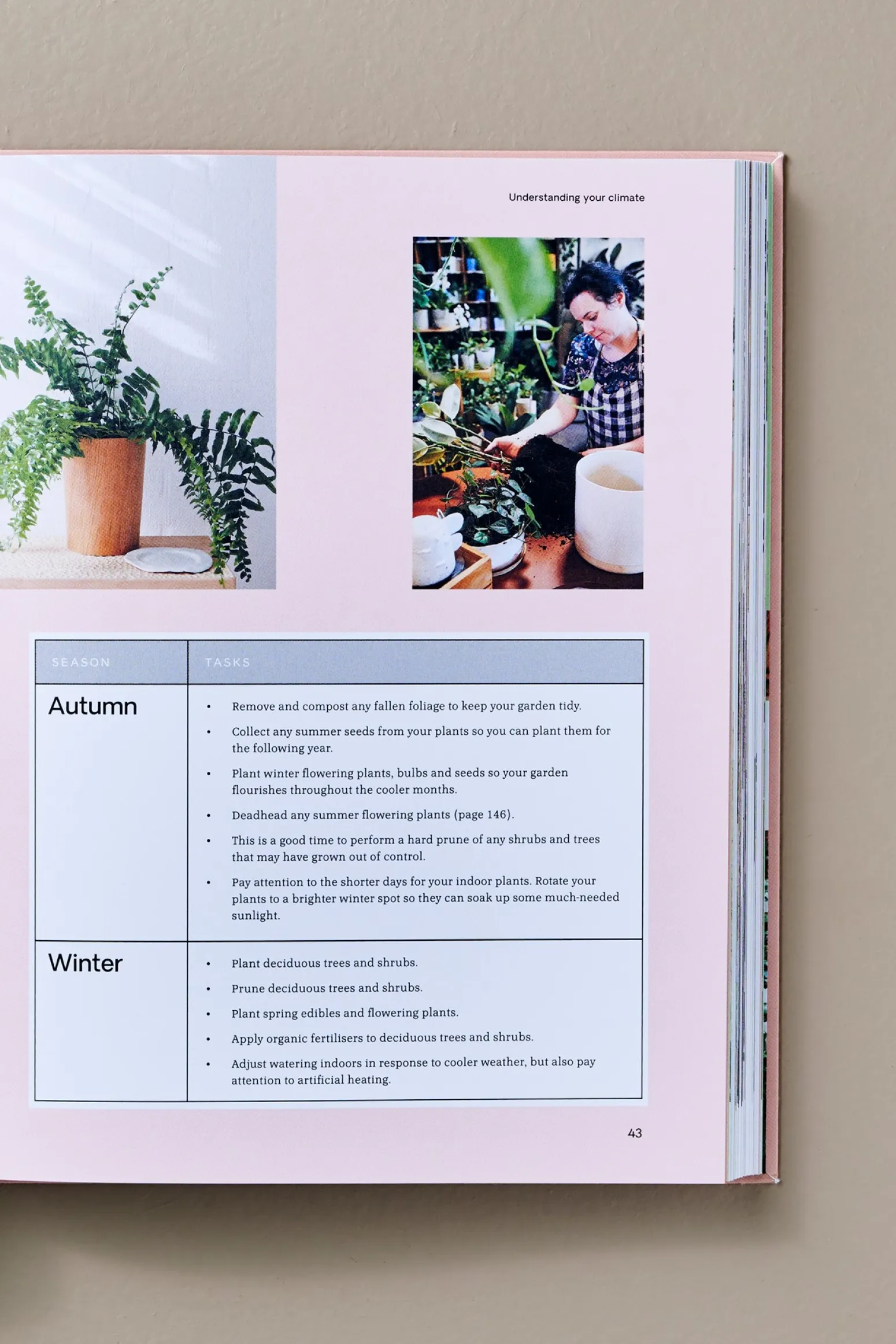 Søstrene Grene Schweiz Coffee Table Books<Green