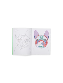 Søstrene Grene Schweiz Coffee Table Books<Join The Dogs