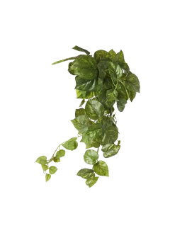 Søstrene Grene Schweiz Dekoration<Künstlicher Pothos