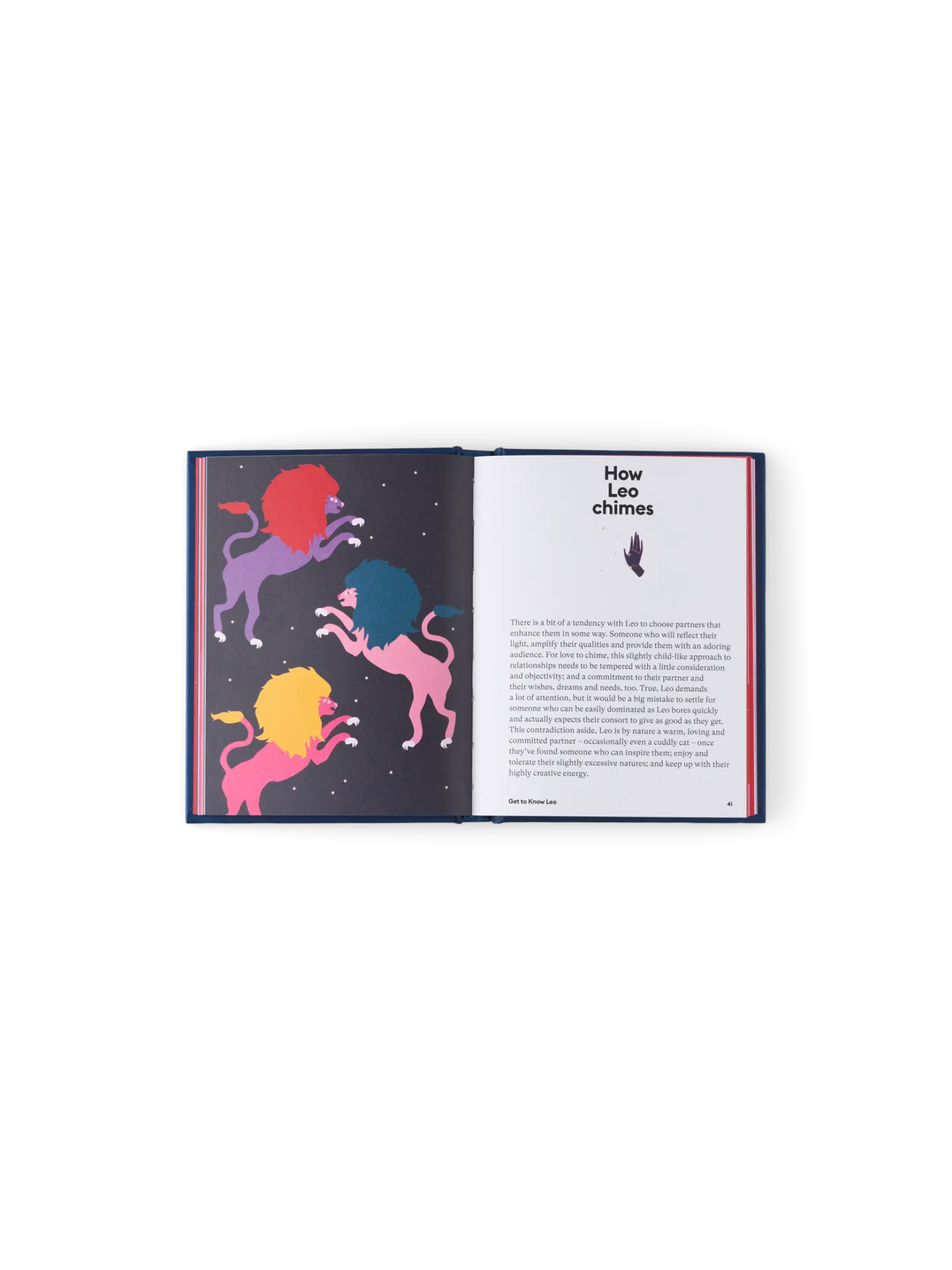 Søstrene Grene Schweiz Coffee Table Books<Leo