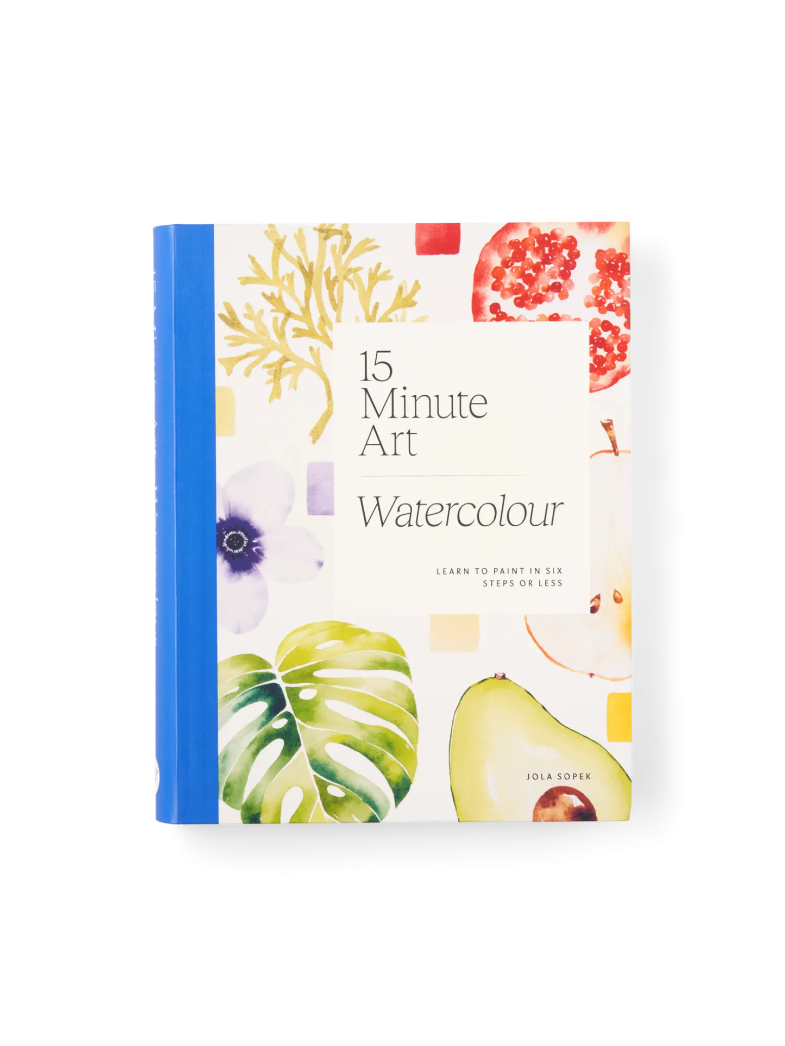 Søstrene Grene Schweiz Coffee Table Books<15-Minute Art Painting