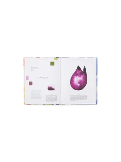 Søstrene Grene Schweiz Coffee Table Books<15-Minute Art Painting