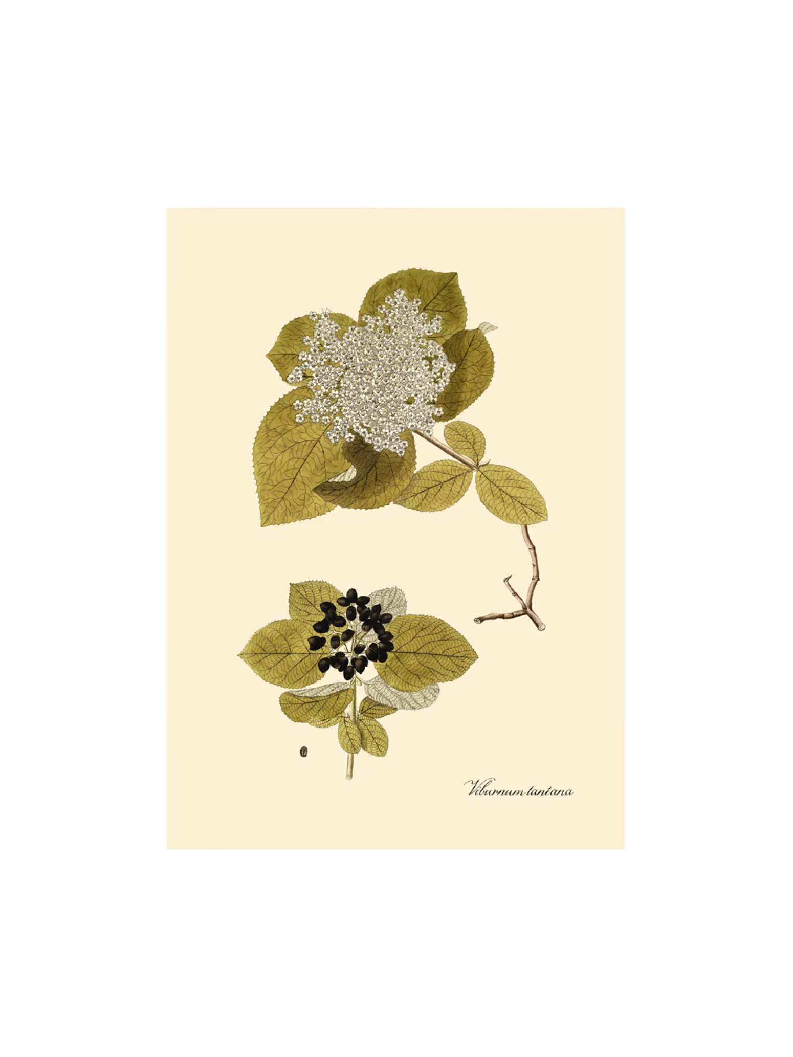 Søstrene Grene Schweiz Rahmen Und Poster<Poster A3