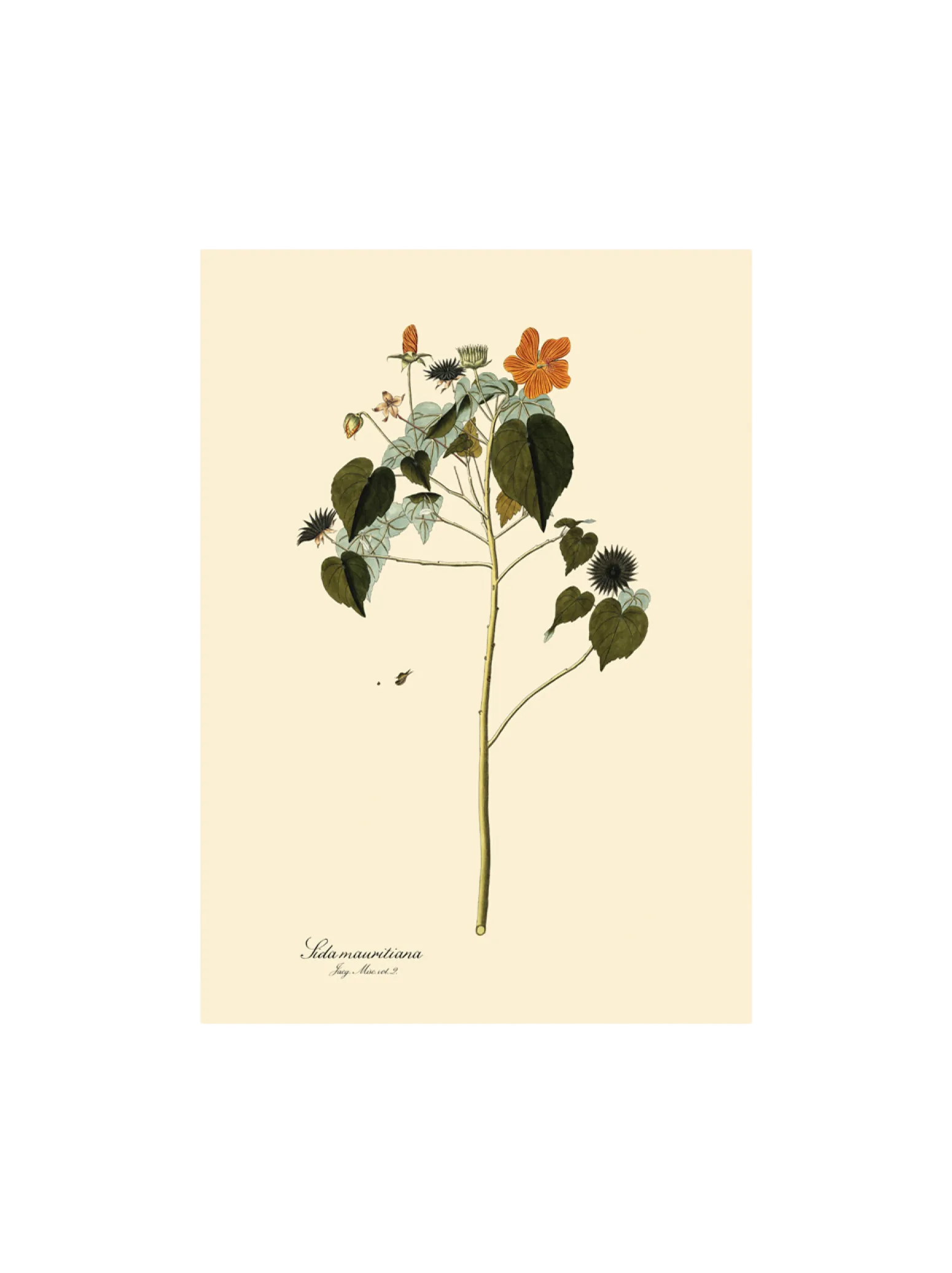 Søstrene Grene Schweiz Rahmen Und Poster<Poster A3