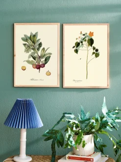 Søstrene Grene Schweiz Rahmen Und Poster<Poster A3