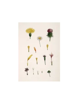 Søstrene Grene Schweiz Rahmen Und Poster<Poster A3
