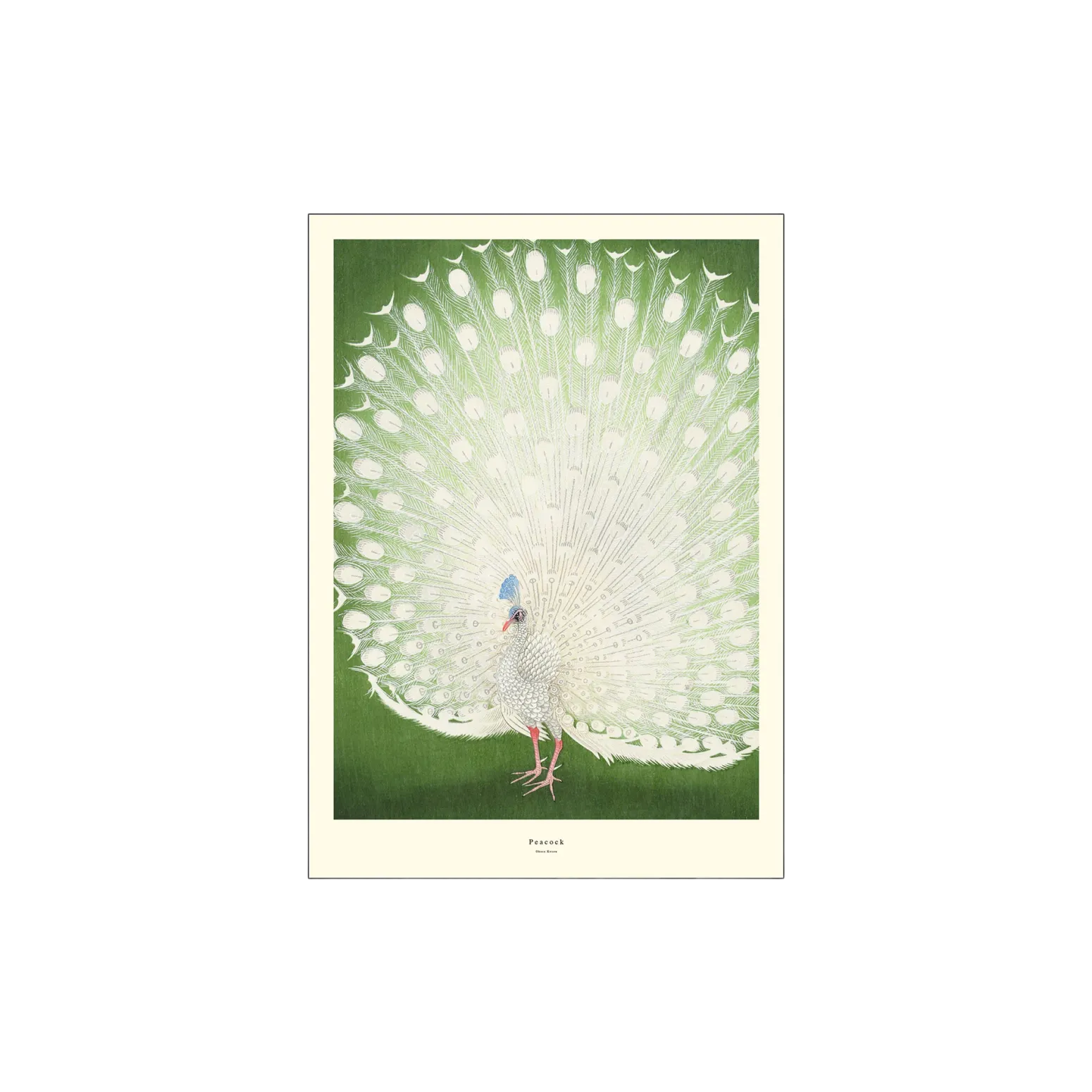 Søstrene Grene Schweiz Rahmen Und Poster<Poster Peacock A3