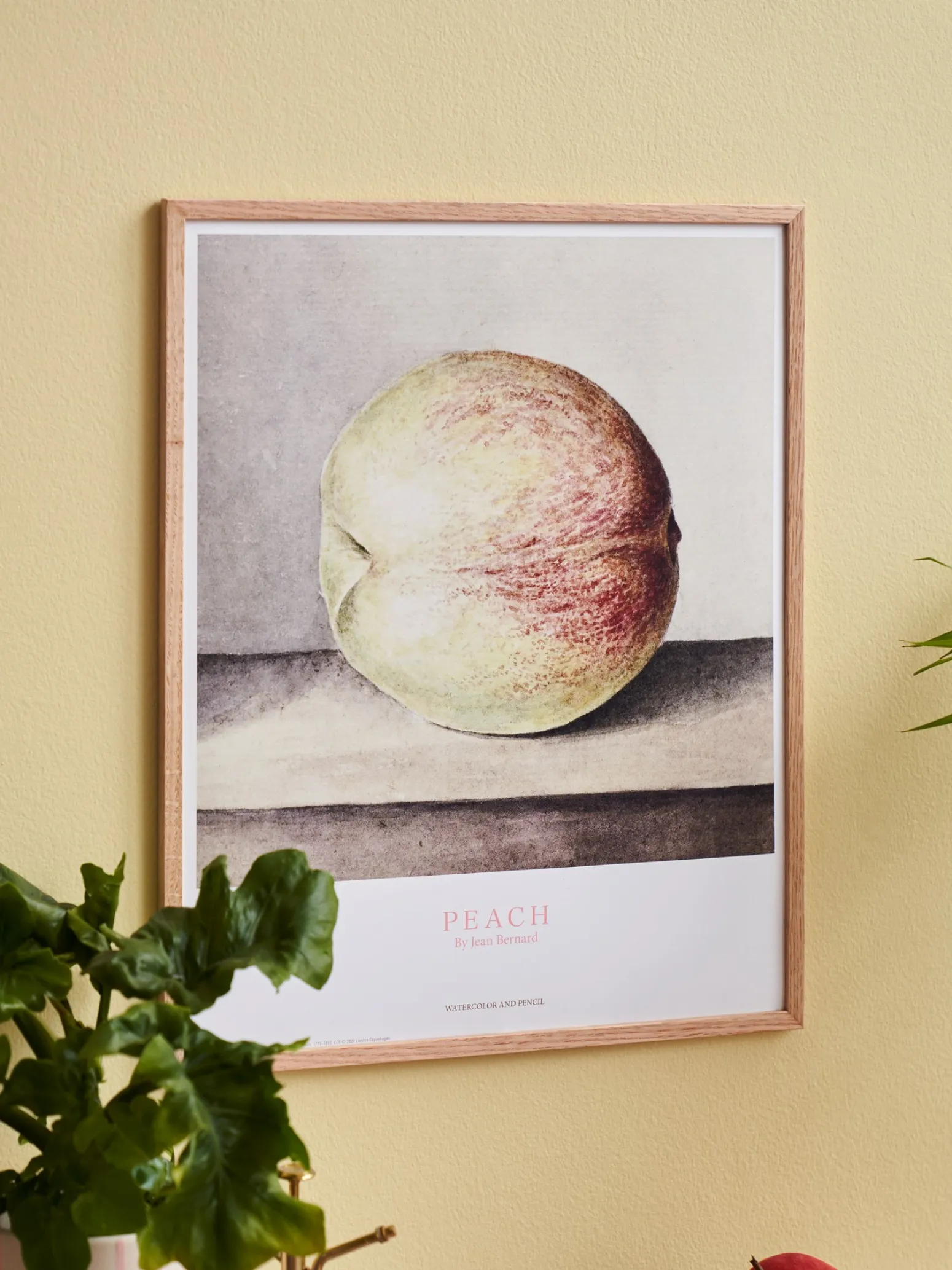 Søstrene Grene Schweiz Rahmen Und Poster<Poster Pfirsich 40 X 50