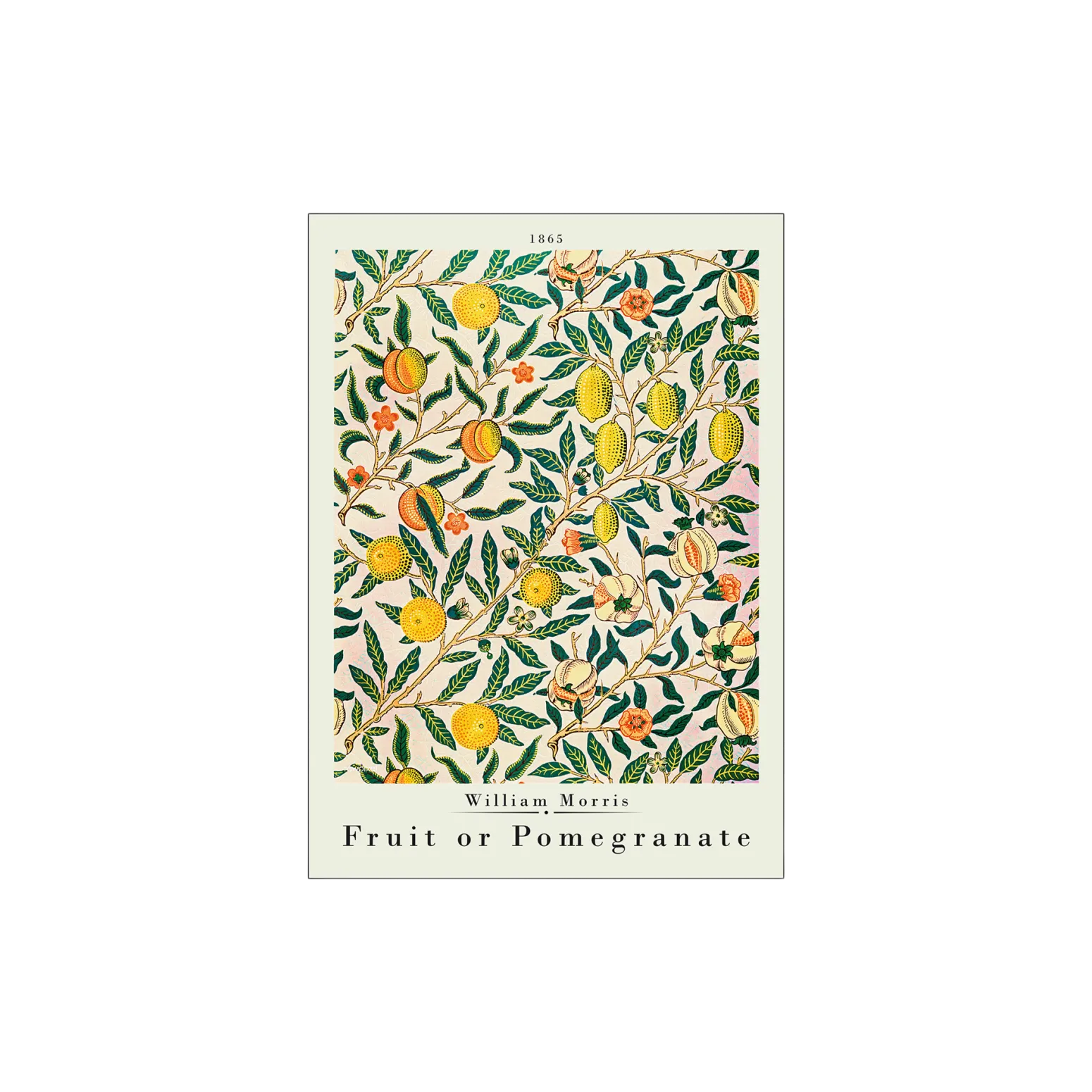 Søstrene Grene Schweiz Rahmen Und Poster<Poster Pomegranate 50 X 70