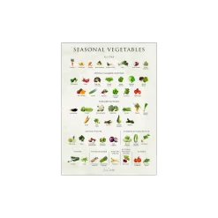 Søstrene Grene Schweiz Rahmen Und Poster<Poster Seasonal Vegetables 50 X 70