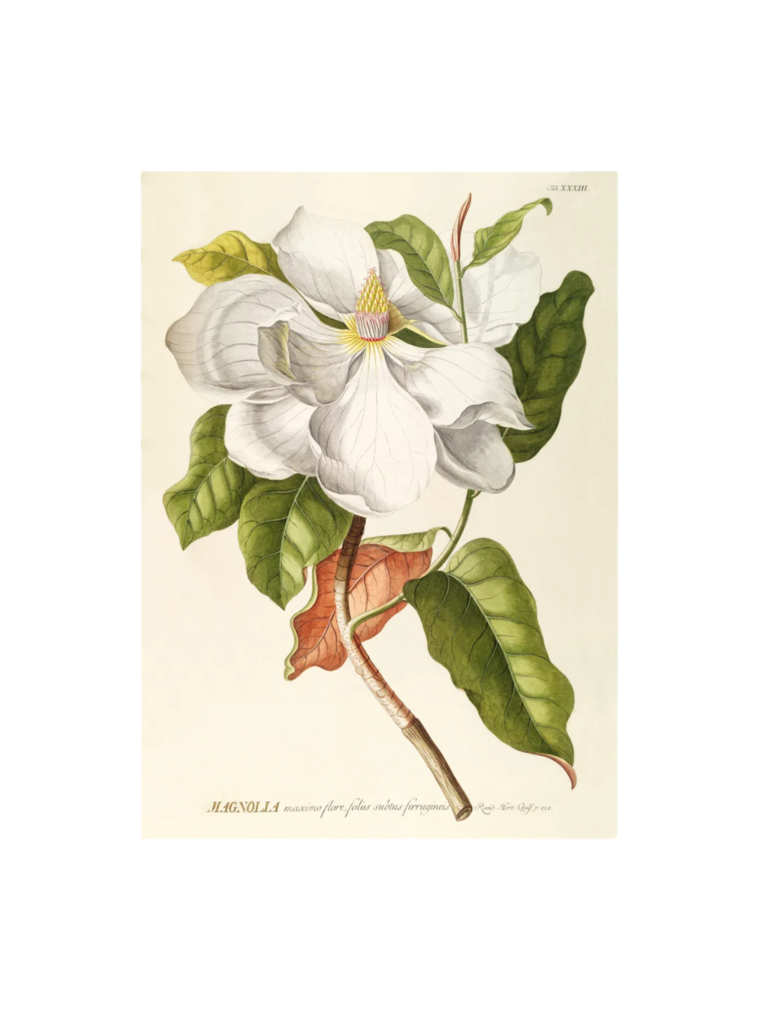Søstrene Grene Schweiz Rahmen Und Poster<Poster 50 X 70