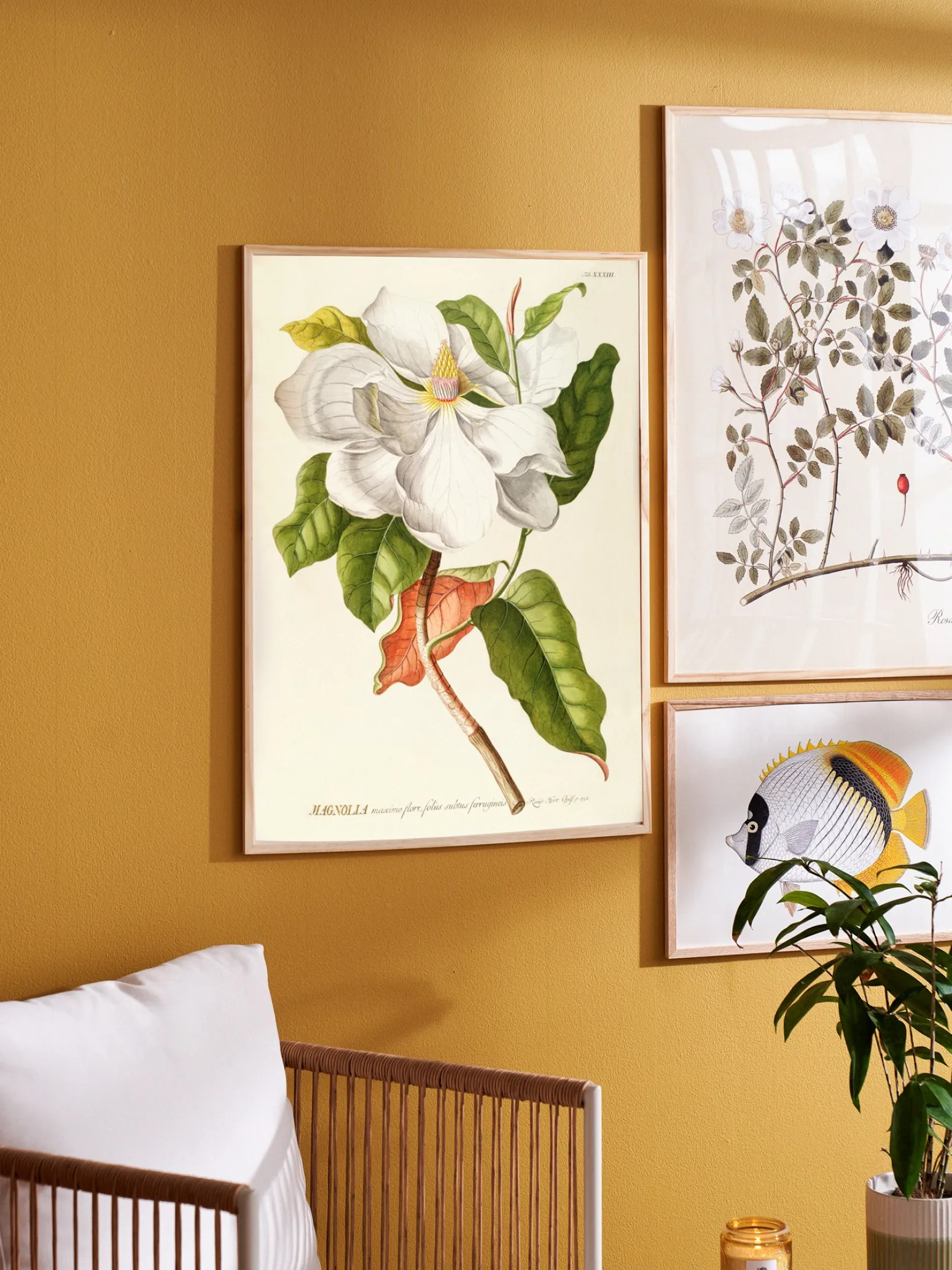Søstrene Grene Schweiz Rahmen Und Poster<Poster 50 X 70