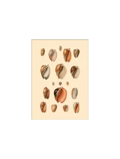 Søstrene Grene Schweiz Rahmen Und Poster<Poster 15 X 21