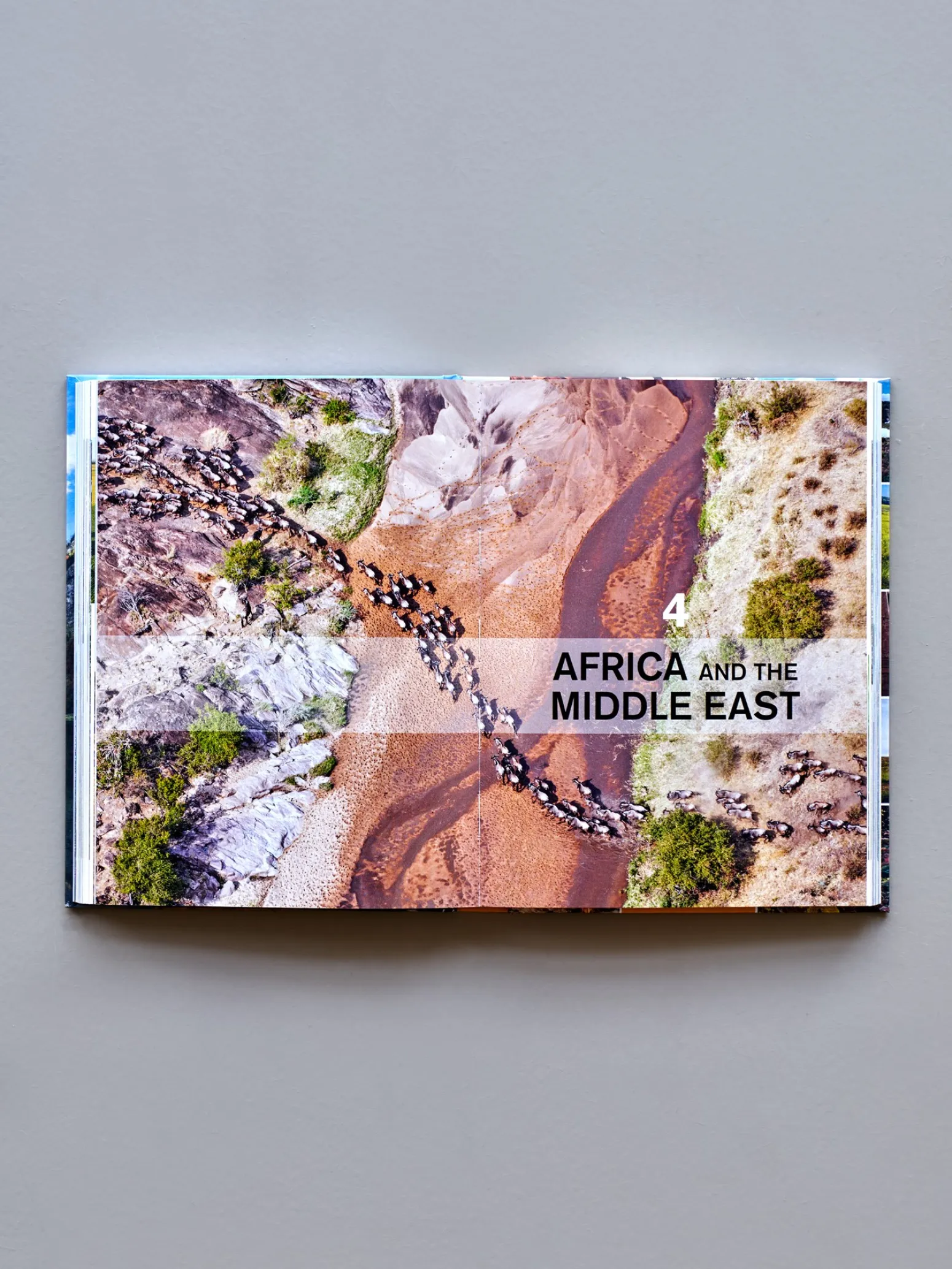 Søstrene Grene Schweiz Coffee Table Books|Für Unterwegs<The Bucket List: Eco Experiences