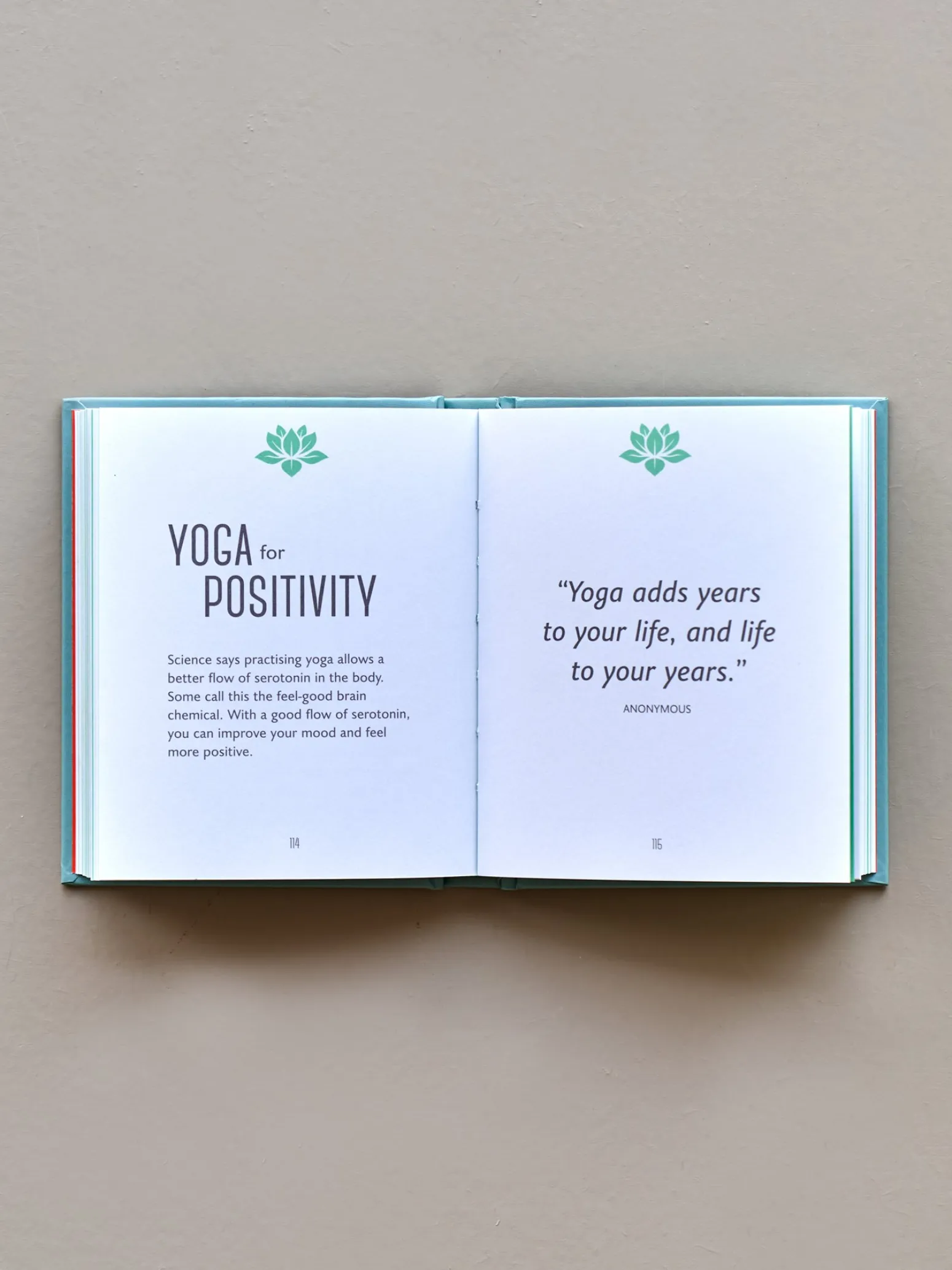 Søstrene Grene Schweiz Coffee Table Books<The Little Book Of Yoga