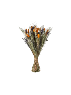 Søstrene Grene Schweiz Dekoration<Trockenblumen Blue Klein
