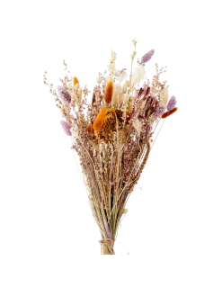 Søstrene Grene Schweiz Dekoration<Trockenblumen Flora Klein