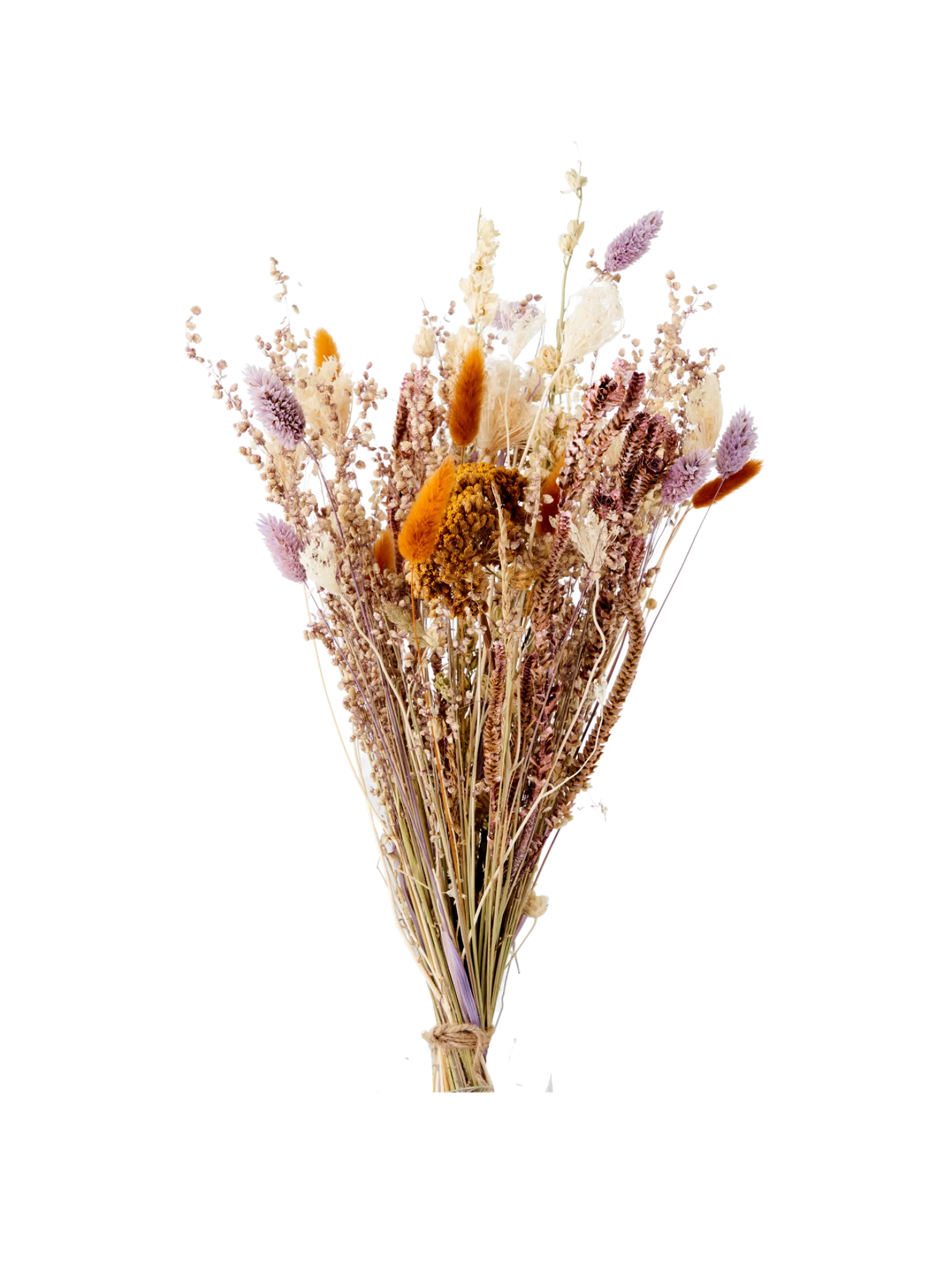 Søstrene Grene Schweiz Dekoration<Trockenblumen Flora Klein