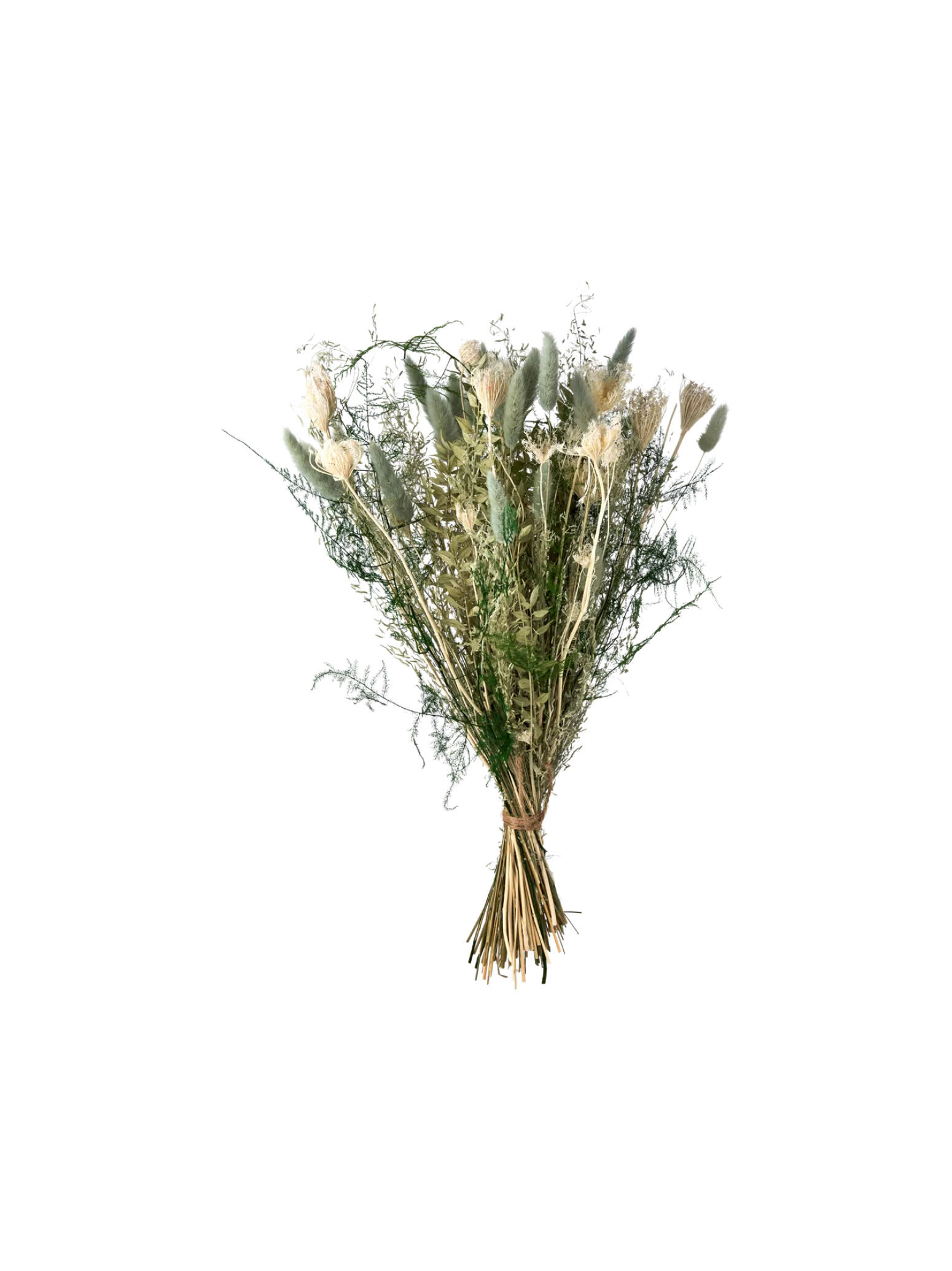 Søstrene Grene Schweiz Dekoration<Trockenblumen Iceberg Klein