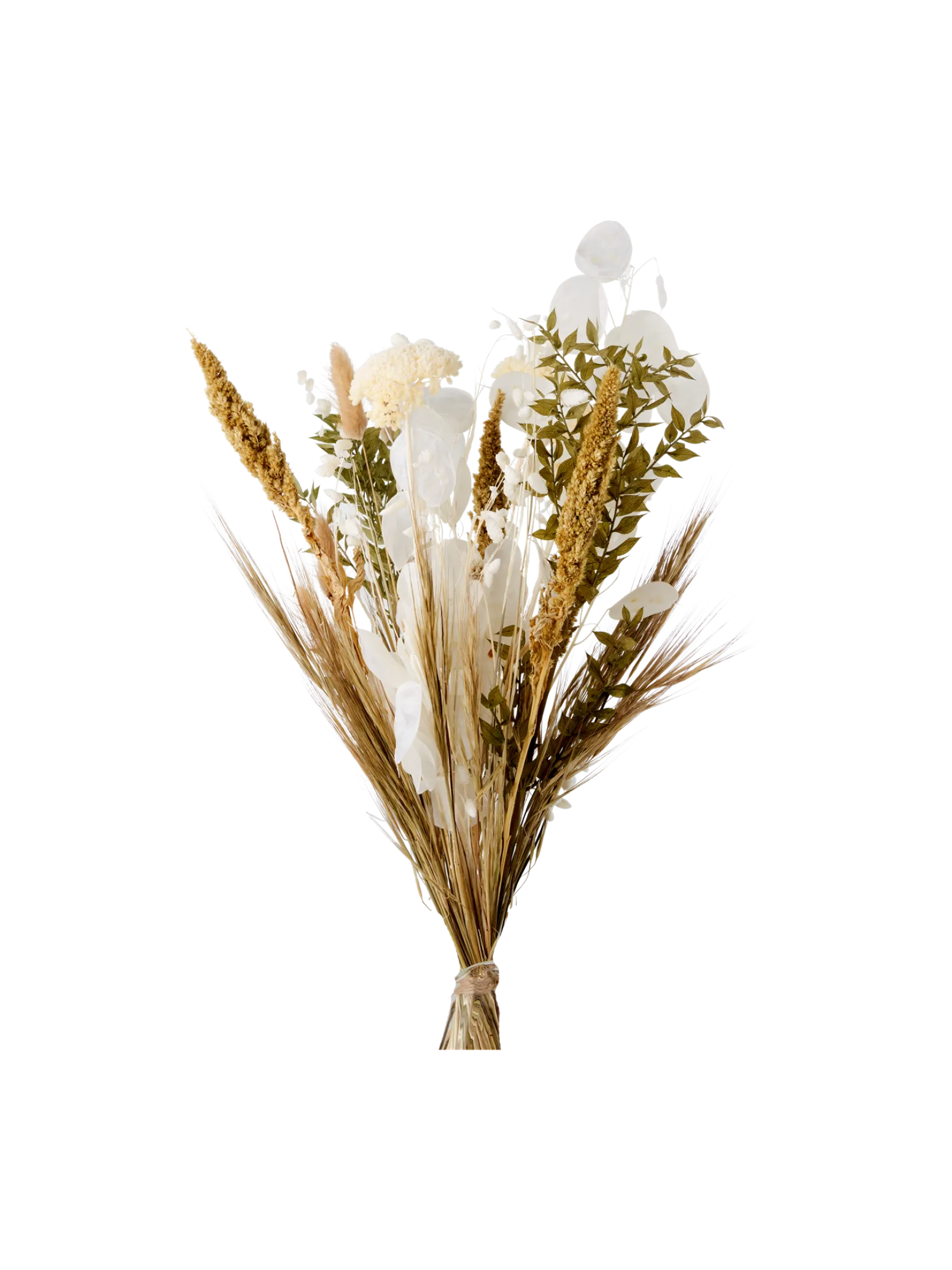 Søstrene Grene Schweiz Dekoration<Trockenblumen Lunaria Klein