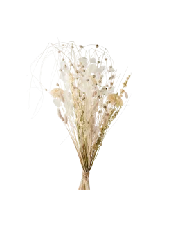 Søstrene Grene Schweiz Dekoration<Trockenblumen Patricia Medium