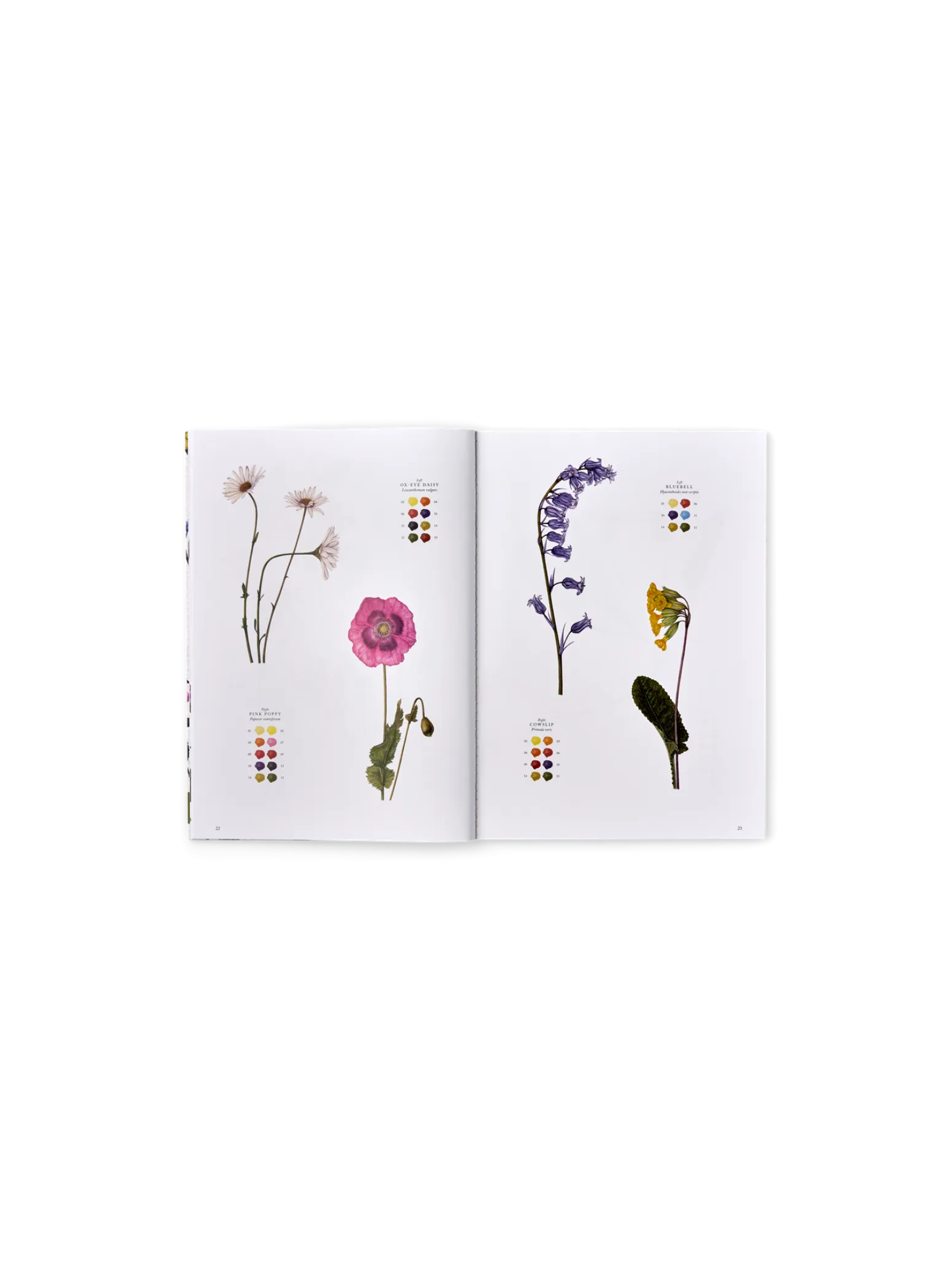 Søstrene Grene Schweiz Coffee Table Books<Wildflowers